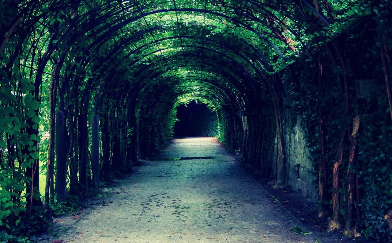 Tunnel