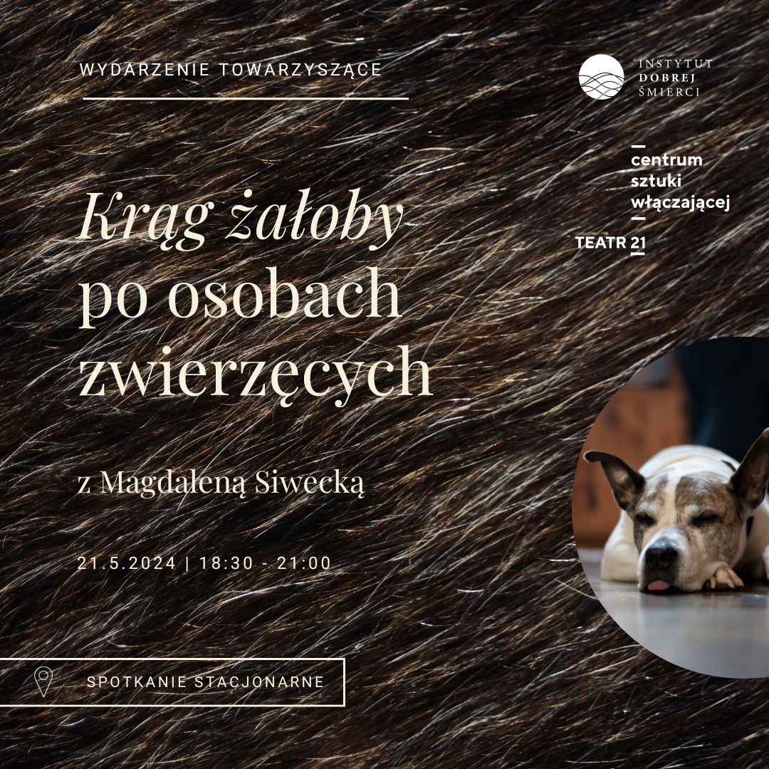Grafika przedstawia leżącego psa na tle skóry dzika.