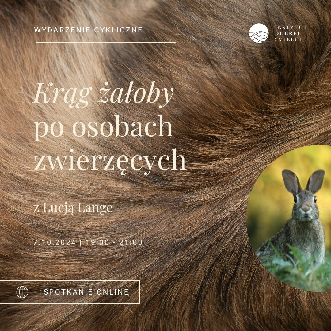 Grafika przedstawia zdjęcie zająca na tle z sierści.