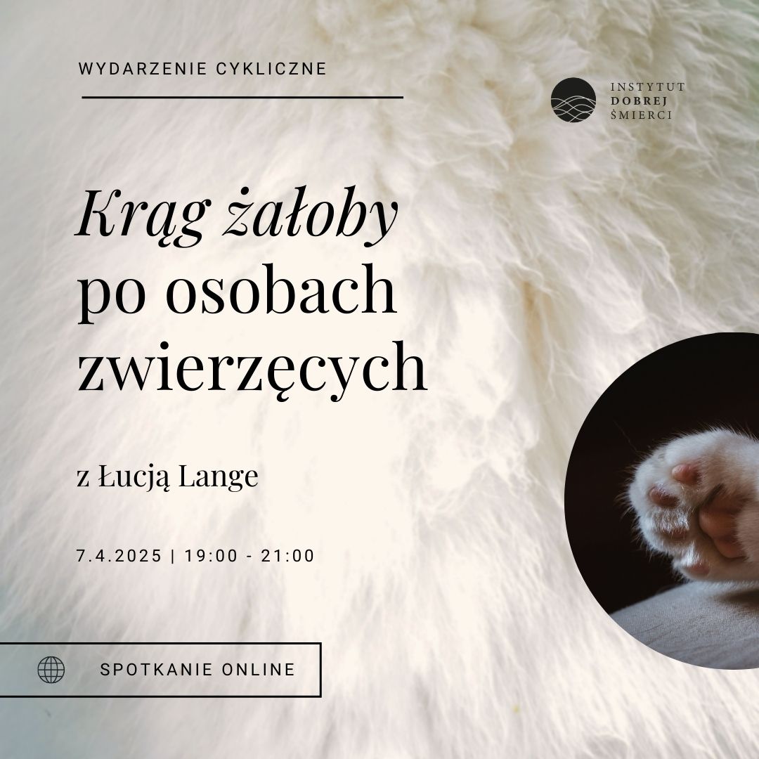 Łapa kota na tle białego futra