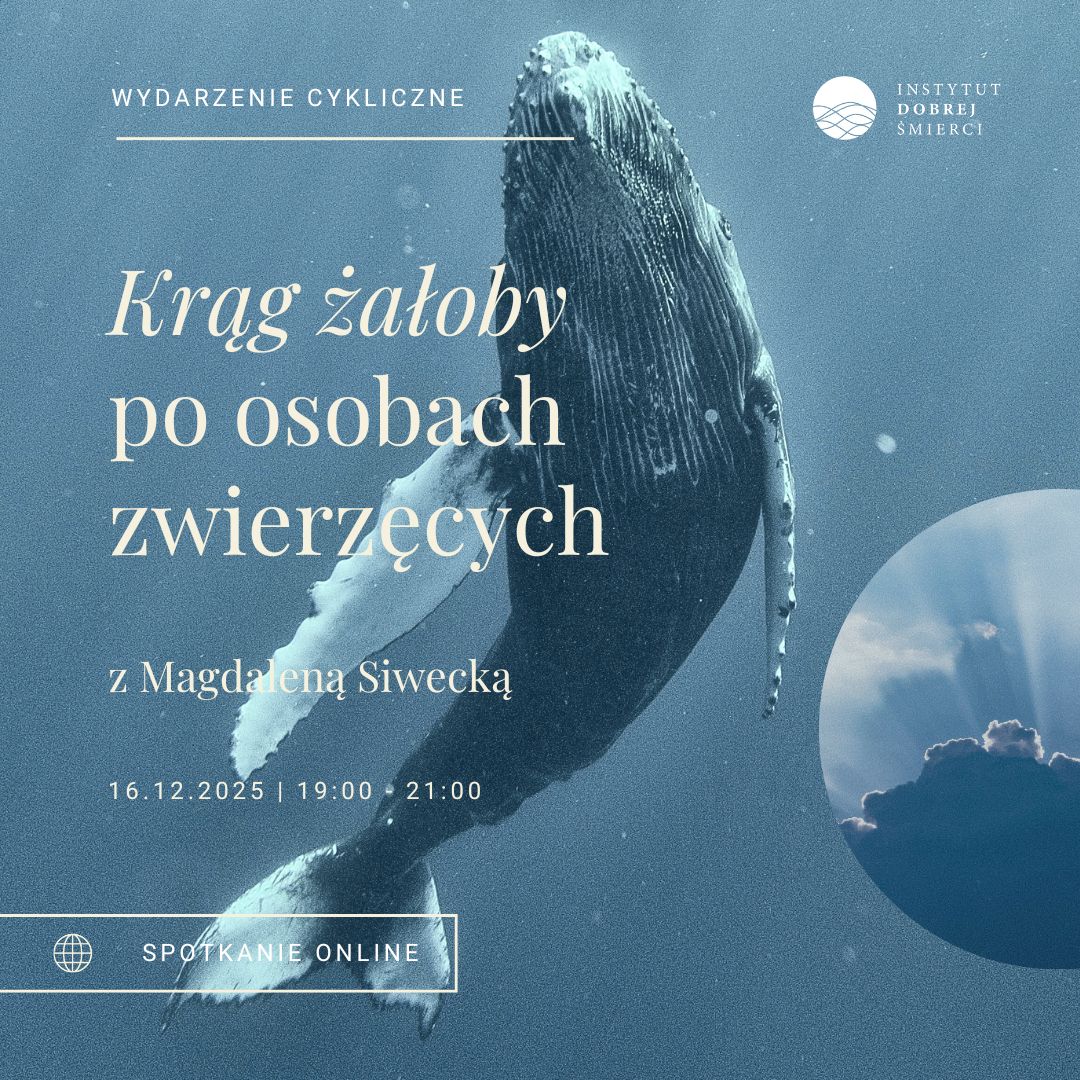 Wieloryb i niebo w małym zdjęciu