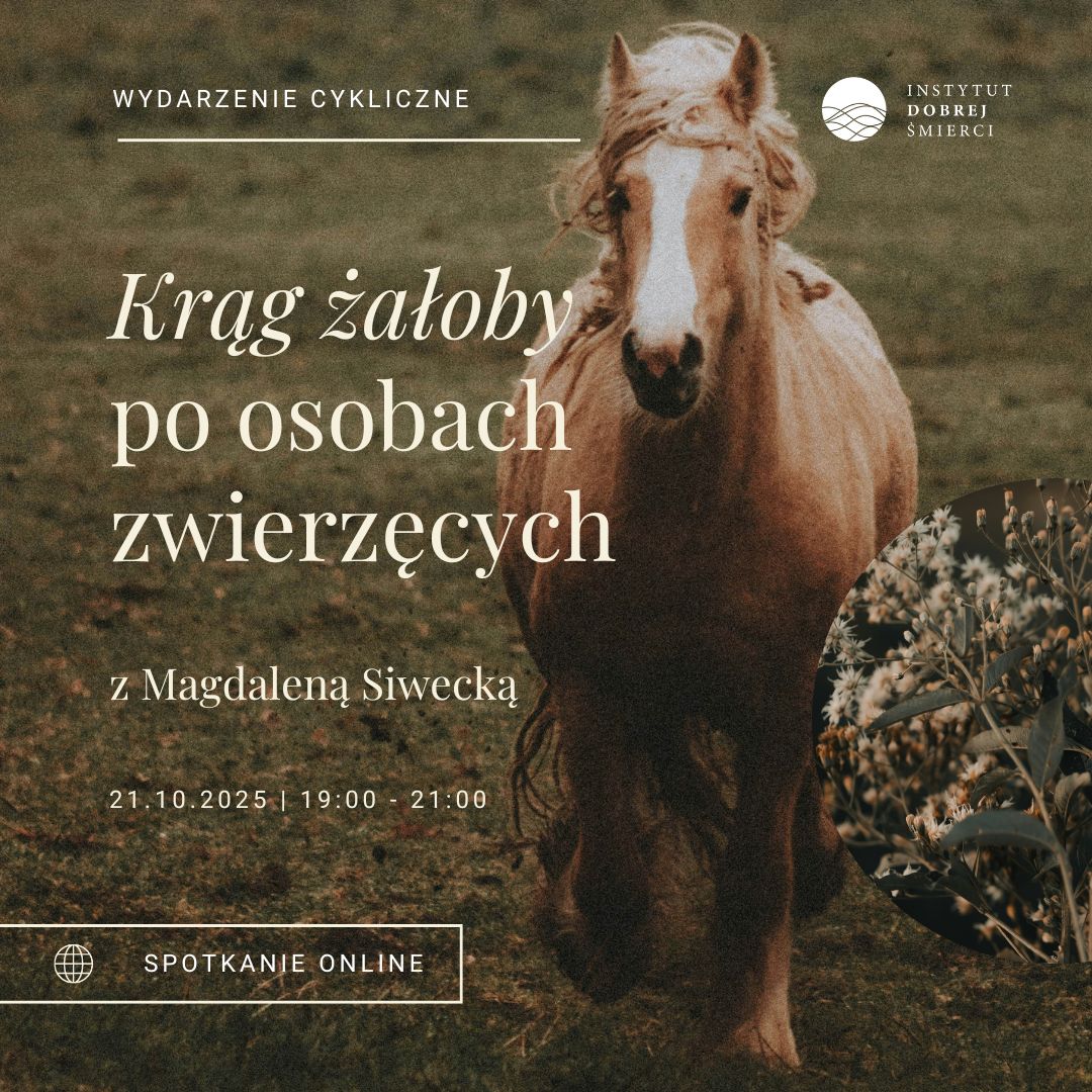 brązowy koń na łące i kwiaty